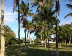 Área Verde / Natureza
